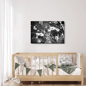 Obraz - Pavučina na lúke (90x60 cm)