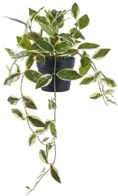 Umelá rastlina (výška 33 cm) Hoya Carnosa – House Nordic