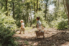 Líška plyšová Forest Friends