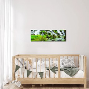 Obraz - vodopády (s hodinami) (90x30 cm)
