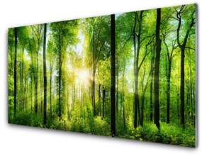 Nástenný panel  Les príroda 100x50 cm
