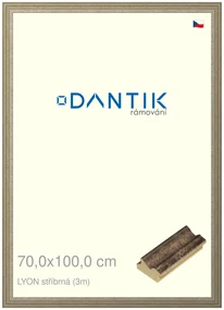 DANTIK rám na obraz 70x100 | LYON stříbrná (Plexi Čiré)
