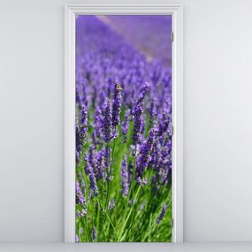 Fototapeta na dvere - Levanduľa (95x205cm)