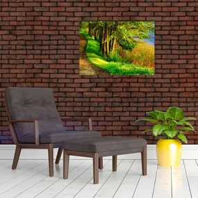 Obraz chodníky pozdĺž vody (70x50 cm)
