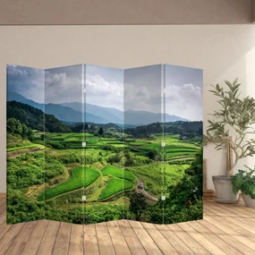 Paraván - Ryžové polia (210x170 cm)