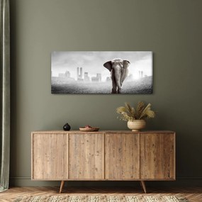 Obraz - Sloník vo veľkomeste, čiernobiely variant (120x50 cm)