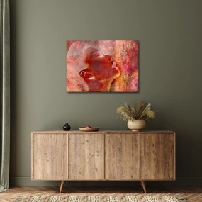 Obraz - Profil ženskej tváre (70x50 cm)