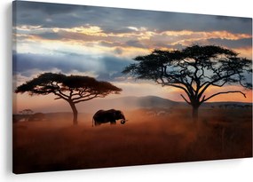 Obraz - Národný park Serengeti, Tanzánia, Afrika (90x60 cm)