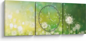 Obraz - Odkvitnuté púpavy (s hodinami) (90x30 cm)