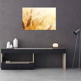 Obraz - detail obilia (90x60 cm)