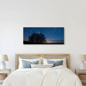 Obraz stromov v noci (120x50 cm)