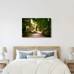 Obraz parku (90x60 cm)