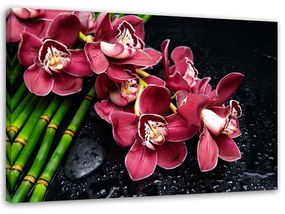 Obraz na plátně Růžová orchidej Bamboo Zen - 120x80 cm