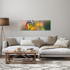 Obraz motýľa na kvete (s hodinami) (90x30 cm)