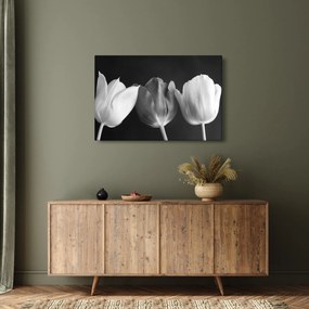 Obraz - Čiernobiele kvety tulipánov (90x60 cm)