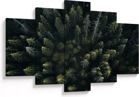 Obraz - Les (150x105 cm)