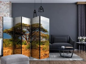 Paraván - Samburu National Reserve, Kenya II [Room Dividers]