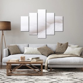 Obraz - Biele pierko (150x105 cm)