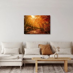 Sklenený obraz jesenného lesa (70x50 cm)