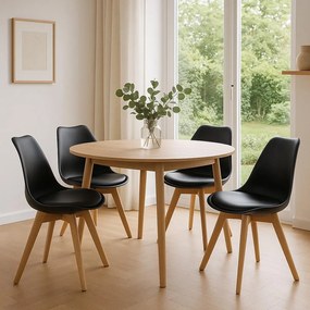 Set - 4 ks Jedálenská stolička AVENBERG SKANDI čierna