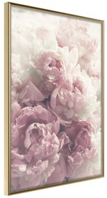 Artgeist Plagát - Delicate Peonies [Poster] Veľkosť: 30x45, Verzia: Zlatý rám s passe-partout