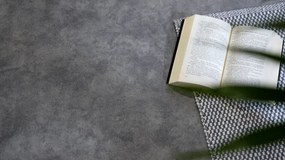 PVC podlaha Viva Prato S93 sivá