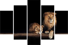 Obraz - Lev a levice (150x105 cm)
