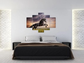 Obraz - Kone (150x105 cm)