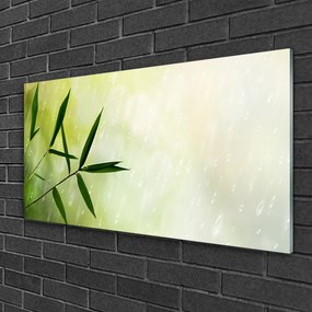 Obraz na skle Listy dážď 125x50 cm