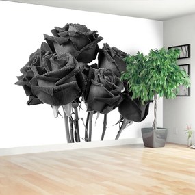 Fototapeta Vliesová Čierne ruže 152x104 cm