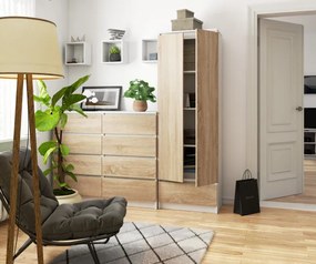 Uzavretý regál R60 2D 1SZ CLP biely / sonoma