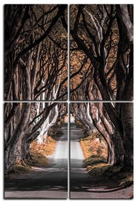 Obraz na plátne - Tmavé ploty v Irsku  - obdĺžnik 7134FD (90x60 cm)