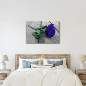 Obraz - Modrá ruža so zelenou stonkou (90x60 cm)