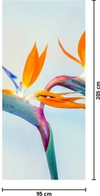 Fototapeta na dvere - Kvety Strelície (95x205cm)