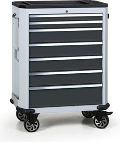 Pojazdný dielenský vozík na náradie EXPERT, 7 zásuviek, grafit