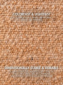 Koberec Ted Baker Notting Hill Portobello Beige