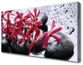 Obraz Canvas Kvet kamene umenie 120x60 cm