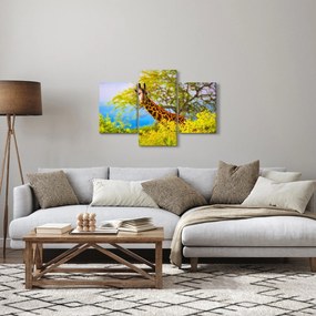 Obraz žirafy v Afrike (90x60 cm)