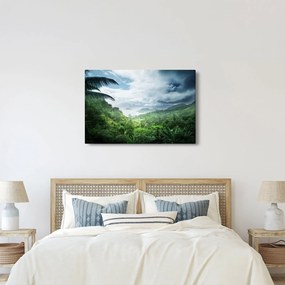 Obraz - Seychelská jungle (90x60 cm)