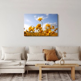 Obraz poľa s jasne žltými kvetmi (90x60 cm)
