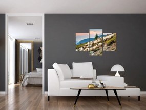 Obraz - Stádo oviec (90x60 cm)