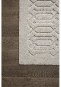 Svetlosivý vlnený koberec 160x230 cm Dive – Agnella