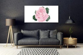 Obraz na akrylátovom skle Ruže kvet rastlina 120x60 cm