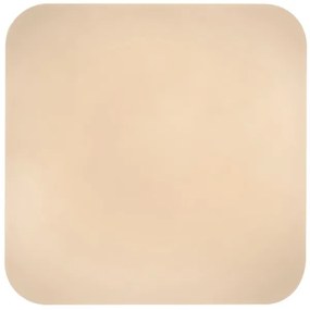 Rabalux 71109 - LED Stropné svietidlo VENDEL LED/24W/230V 3000K 37x37 cm