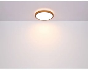 Globo 41765-12 - LED Stropné svietidlo SAMMI LED/12W/230V 3000/4500/6000K