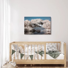 Obraz - Rozkvitnuté stromy v Ázii (90x60 cm)