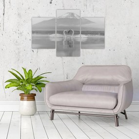 Obraz - Zamilované labute (90x60 cm)