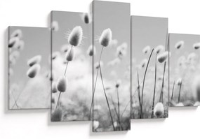 Obraz - Boho bunny tail grass (150x105 cm)