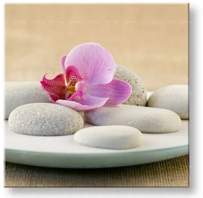 Obraz na stenu FENG SHUI | rôzne rozmery