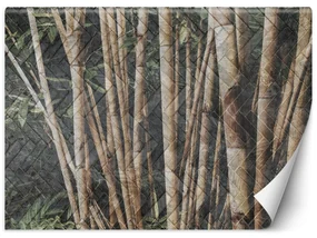 Gario Fototapeta Bambusový les Materiál: Vliesová, Rozmery: 400 x 280 cm